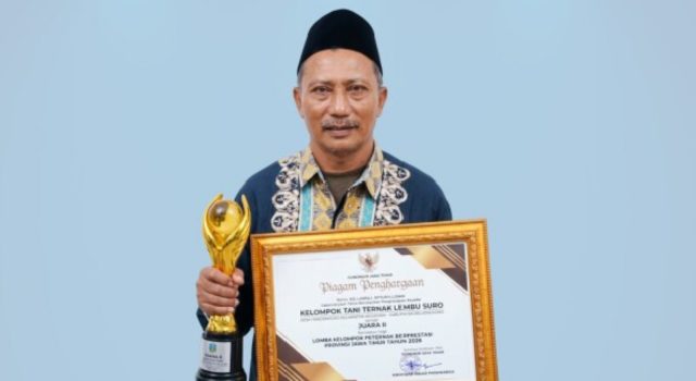 Lembu Suro Hargomulyo Juara II Jatim 2026, Begini Cara Mereka Kembangkan Ternak