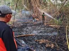 Kebakaran di Wateswinangun Lamongan, Tim Gabungan Cegah Api Meluas