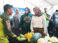 Beras hingga Sayuran Lokal Dilirik Buyer, DKPP Bojonegoro Perkuat Pemasaran