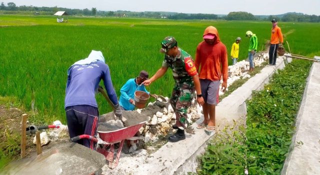 Program Padat Karya di Bluluk Lamongan, Jalan Tani Dibangun Bersama Warga