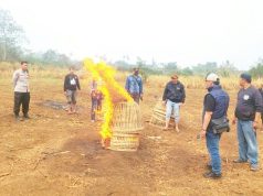 Dugaan Arena Sabung Ayam di Karangploso Malang, Polisi Lakukan Ini