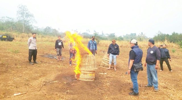 Dugaan Arena Sabung Ayam di Karangploso Malang, Polisi Lakukan Ini
