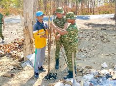 TNI dan DLH Bersinergi, 500 Pohon Disiapkan untuk Bojonegoro
