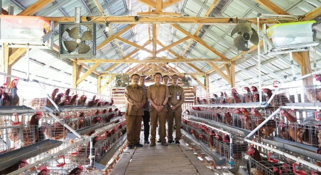 Produksi Lele Asap Bojonegoro Capai 372 Ton per Tahun, Tlogorejo Kepohbaru Jadi Andalan