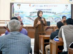 Produksi Lele Bojonegoro Jadi Andalan, Pemkab Siapkan Langkah Ini