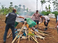 Polres Malang Gerebek Lokasi Sabung Ayam di Singosari, Ini Temuannya