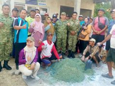 Demi Panen Tak Gagal, TNI-Polri dan Petani Lamongan Lakukan Langkah Ini
